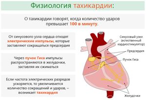 Как проявляется сердечная тахикардия – симптомы и средства нормализации ритма