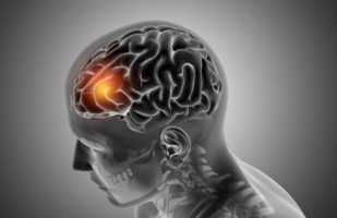 Иллюстрация к записи «Симптомы гипоксии головного мозга – какие последствия»