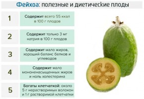 Иллюстрация к записи «Польза употребления фейхоа – тропический фрукт с важными свойствами»