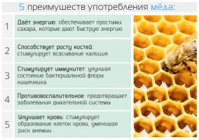 Иллюстрация к записи «Какие полезные свойства имеет пчелиный мёд – здоровье в каждой ложечке»