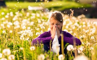 Иллюстрация к записи «Как распознать и вылечить аллергический насморк – секреты оздоровления»