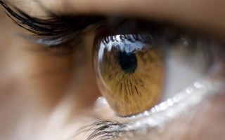 Иллюстрация к записи «6 продуктов для хорошего зрения – рацион здоровых глаз»
