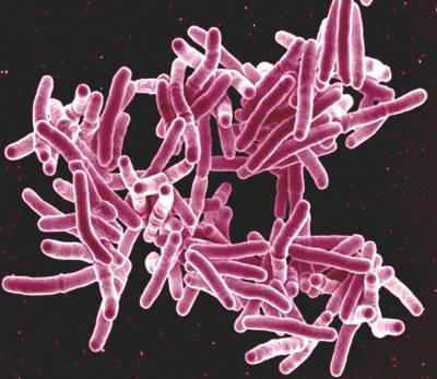 Иллюстрация к записи «Современные методы лечения туберкулёза на практике»