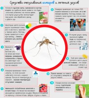 Иллюстрация к записи «Кого любят кусать комары и как избавиться от зуда после укуса комаров»
