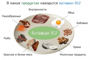 Иллюстрация к записи «К чему приводит избыток и дефицит витамина B12 в питании»