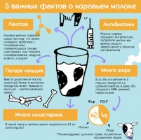 Иллюстрация к записи «Не пьете молоко – ешьте продукты заменители молока»