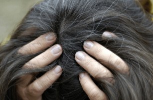Иллюстрация к записи «7 причин появления седых волос до 30 года жизни»