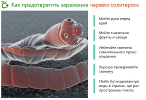 Иллюстрация к записи «Можно ли защитить себя от заражения паразитами»
