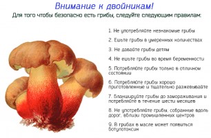 Иллюстрация к записи «Отравление грибами – как оказать помощь при первых симптомах»