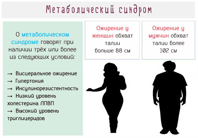 Основные проявления метаболического синдрома