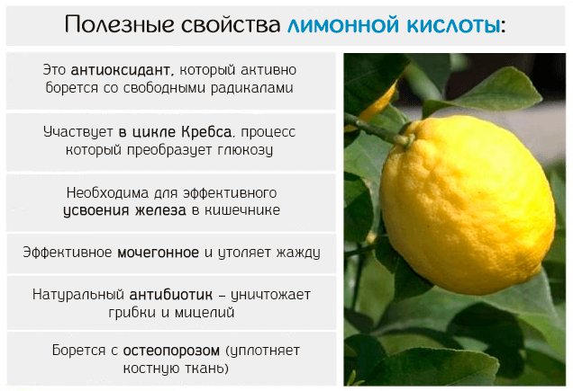 Лимон польза и вред для здоровья. Свойства лимонной кислоты. Полезные свойства ьемона. Лимон полезные вещества. Лимонная кислота характеристика.
