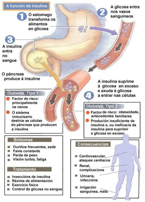 Симптомы сахарного диабета: как обнаружить нарушения углеводного метаболизма