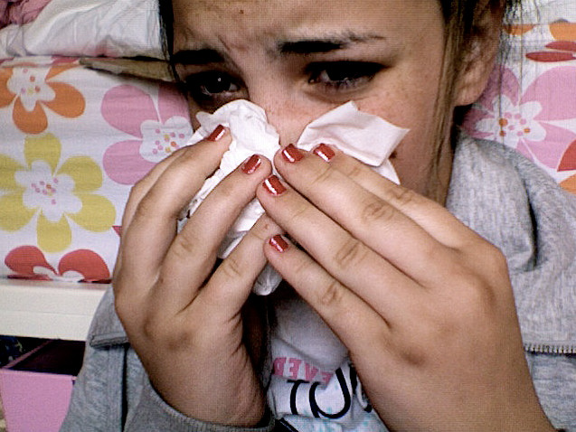 Что такое сенная лихорадка – проявления аллергии дыхательных путей
