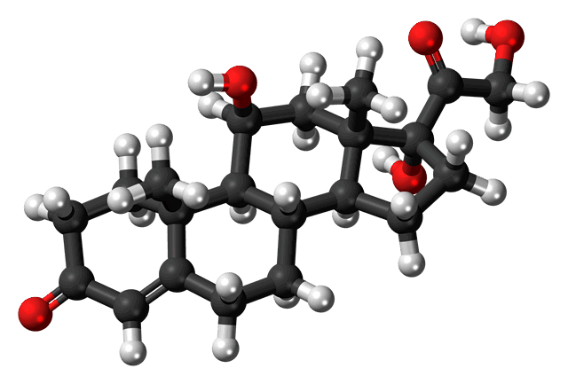 Исследование на уровень гормона кортизола – значение результатов