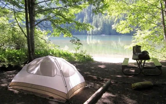 Туристическая палатка под пологом зеленого леса у чистой воды