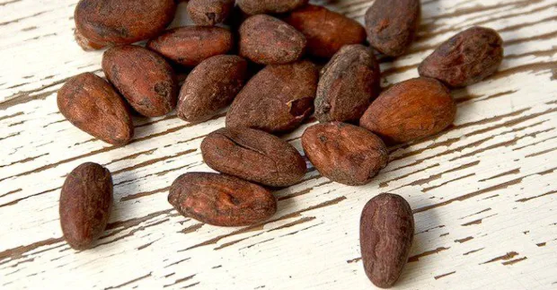 Несколько сырых какао-бобов на поверхности деревянного стола