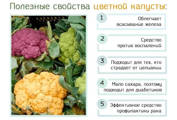 Полезные свойства цветной капусты