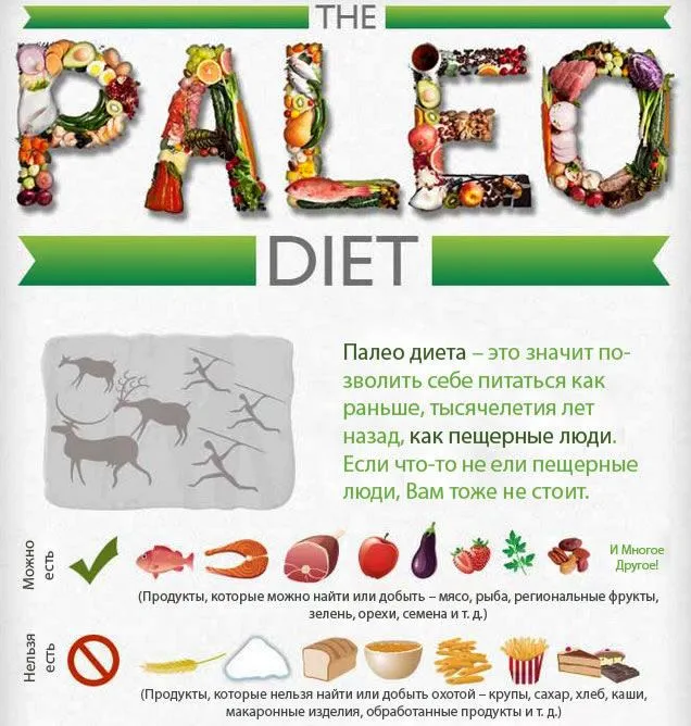 Правила разделения продуктов по протоколу палео диеты