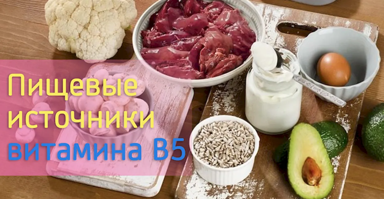 Классические пищевые источники витамина B5