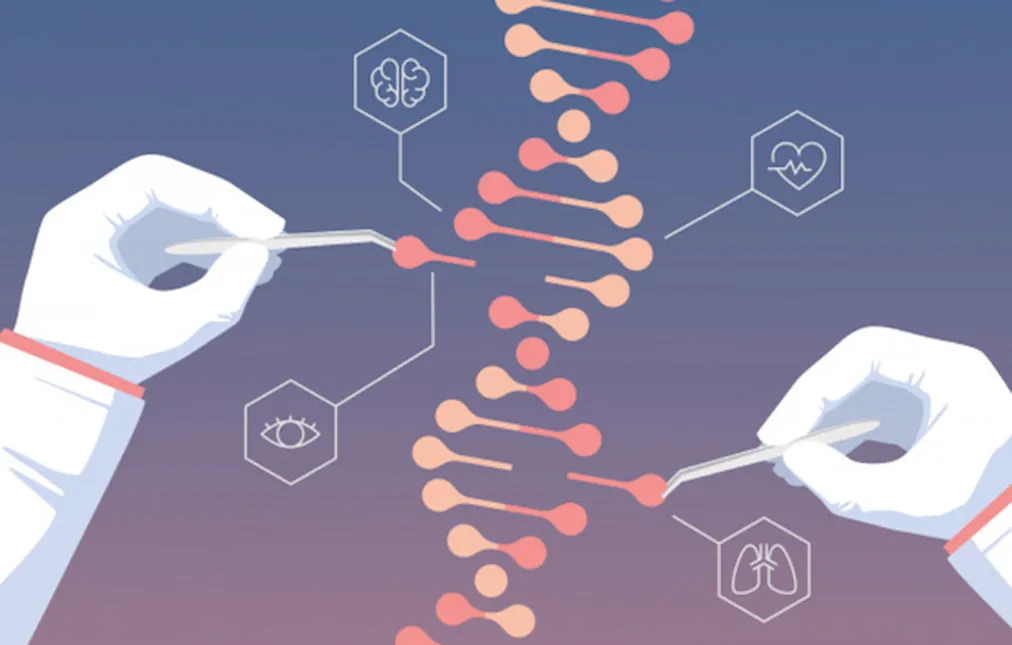 Повреждения ДНК могут приводить к серьёзным генетическим заболеваниям