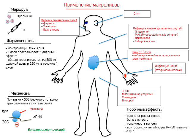 Особенности применения макролидных антибиотиков