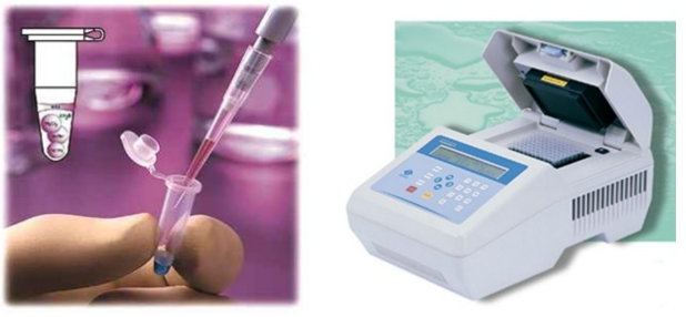 Устройство для анализа крови методом полимераз цепной реакции