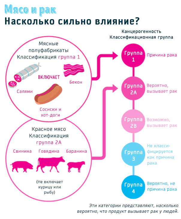 Насколько опасны мясные продукты в отношении развития рака