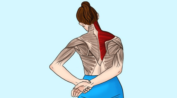Растяжка мышц верхней части спины