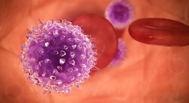 Т-клетки или Т-лимфоциты играют центральную роль в клеточно-опосредованном иммунитете