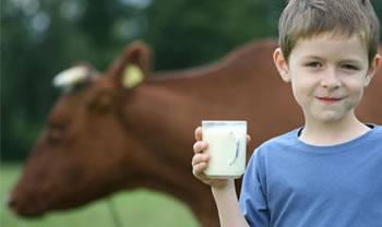 Мальчик пьёт парное молоко от коровы